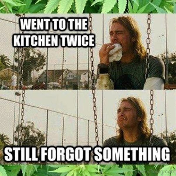 Went To The Kitchen Twice