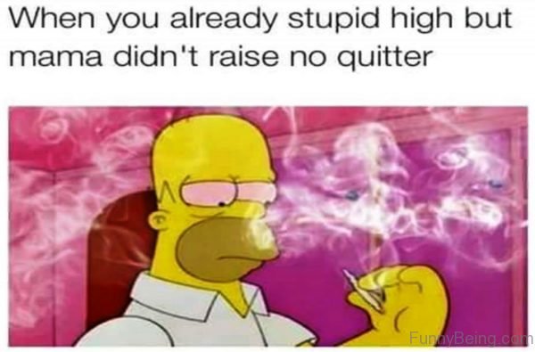 When You Already Stupid High