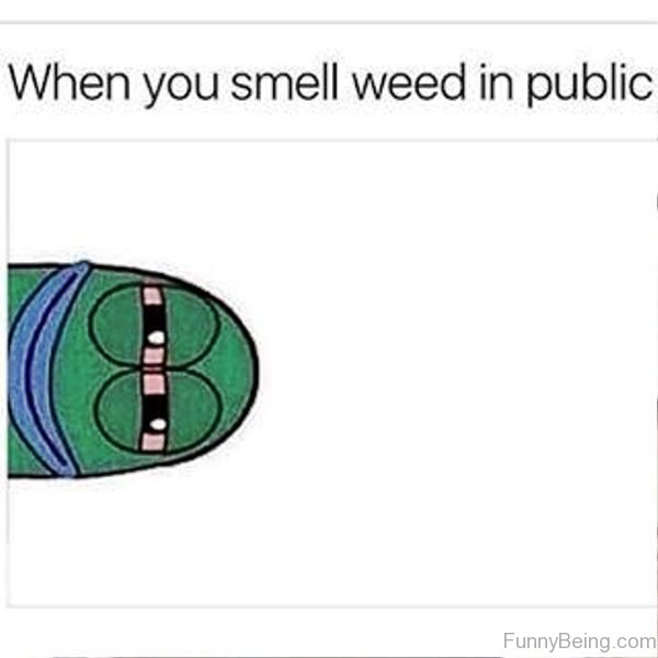 When You Smell Weed In Public