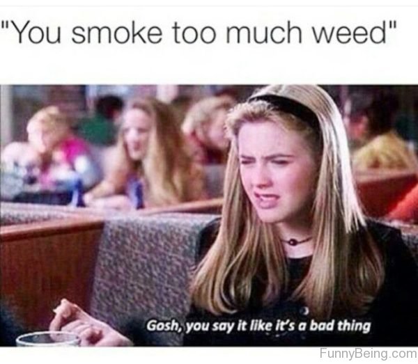 You Smoke Too Much Weed