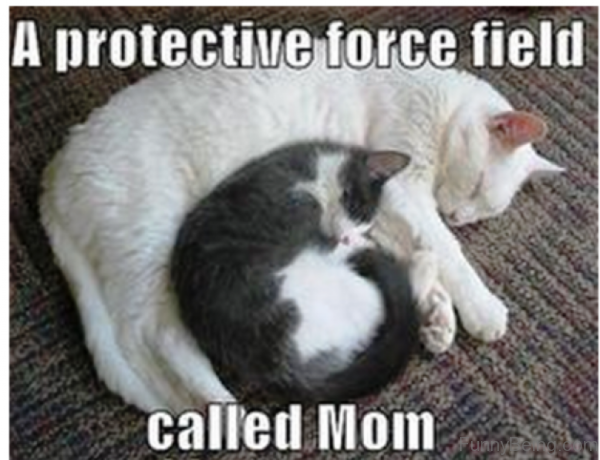 A Protective Force Field Called Mom