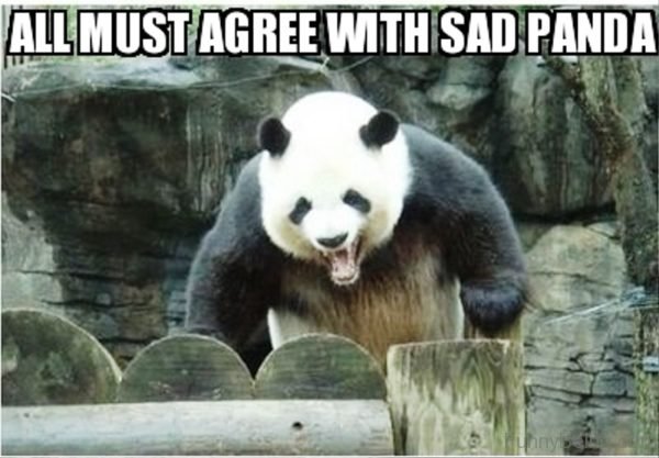 All Must Agree Wih Sad Panda