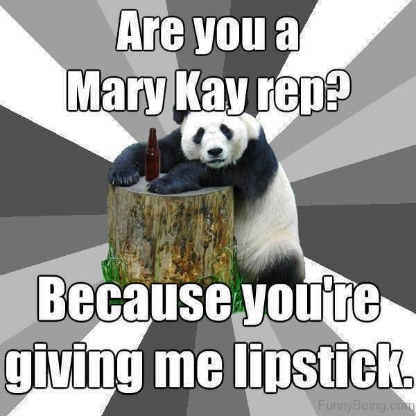 Are You A Mary Kay Rep