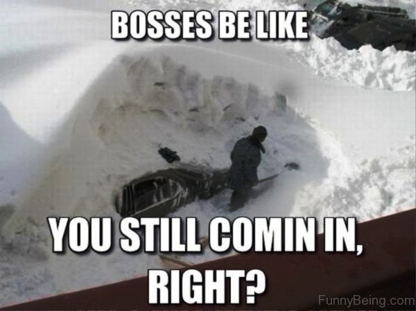 Bosses Be Like