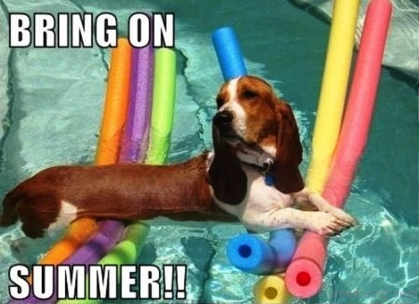 Bring On Summer