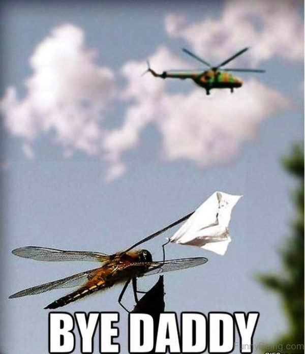 Bye Daddy