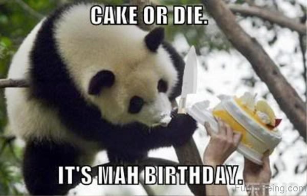 Cake Or Die Its Mah Birthday