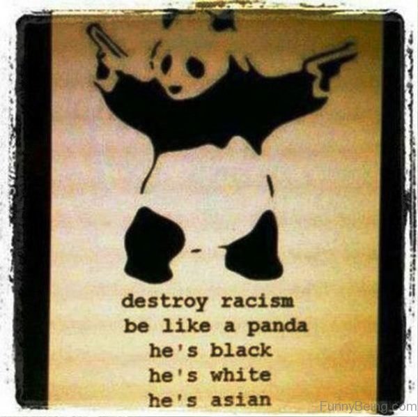 Destroy Racism Be Like A Panda
