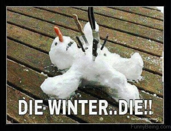 Die Winter Die