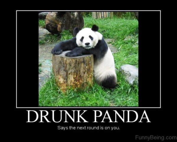 Drunk Panda Says The Next Round