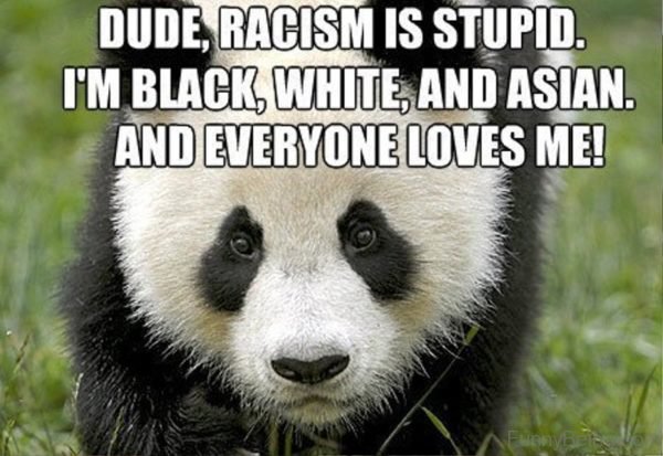Dude Racism Is Stupid