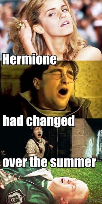 Hermione Had Changed Over The Summer