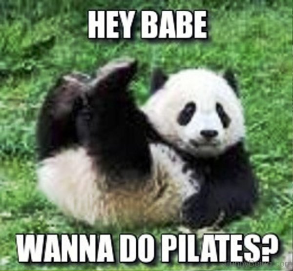 Hey Babe Wanna Do Pilates