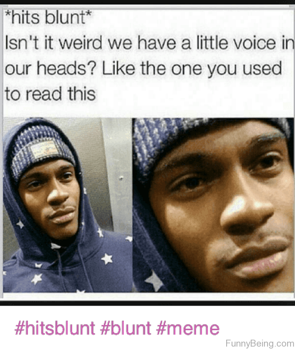 Hits Blunt Isnt Weird We Have A Little Voice