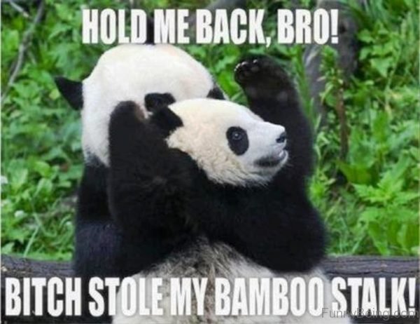 Hold Me Back Bro