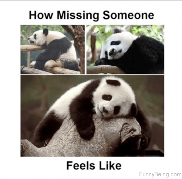 How Missing Someone Feels Like