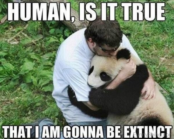 Human Is It True