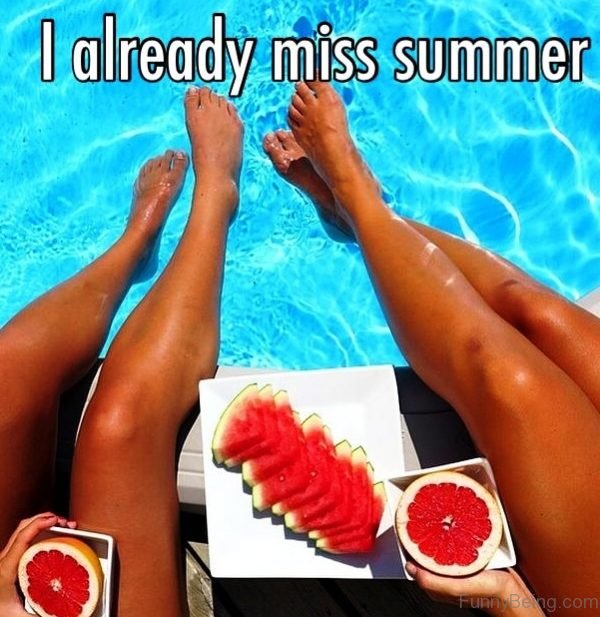 I Already Miss Summer