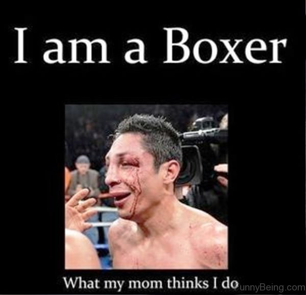 I Am A Boxer