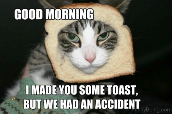 I Made You Some Toast