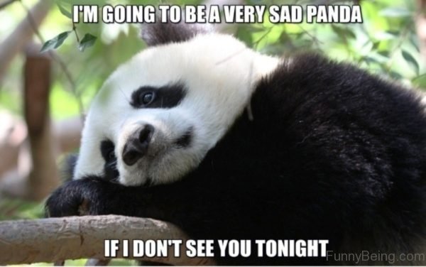 Im Going To Be A Very Sad Panda