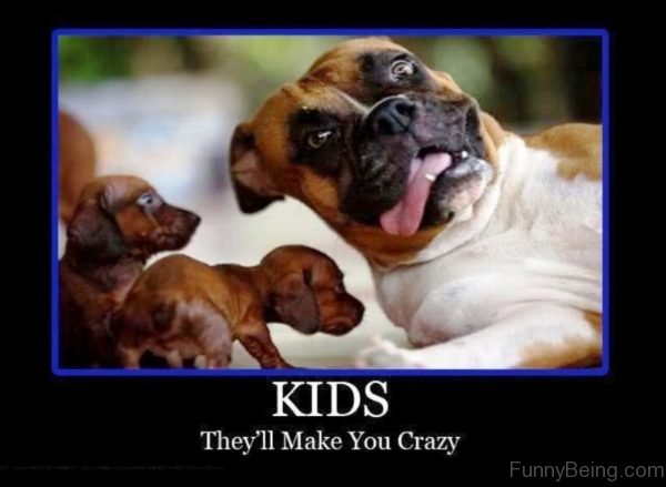 Kids They ll Make You Crazy