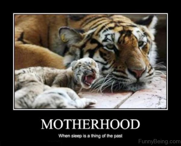 Motherhood When Sleep Is A Thing