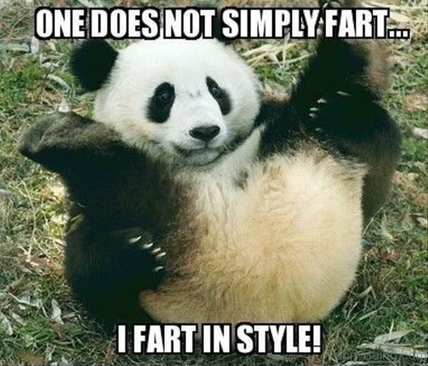 One Does Not Simply Fart