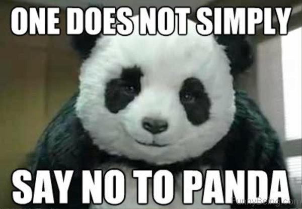 One Does Not Simply Say No To Panda