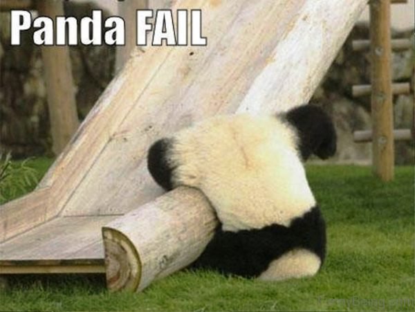 Panda Fail