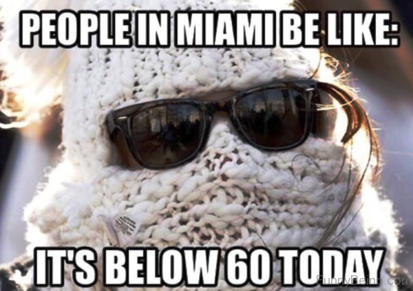 People In Miami Be Like