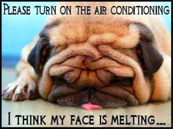 Please Turn On The Air Conditioning