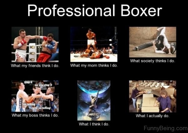 Professional Boxer