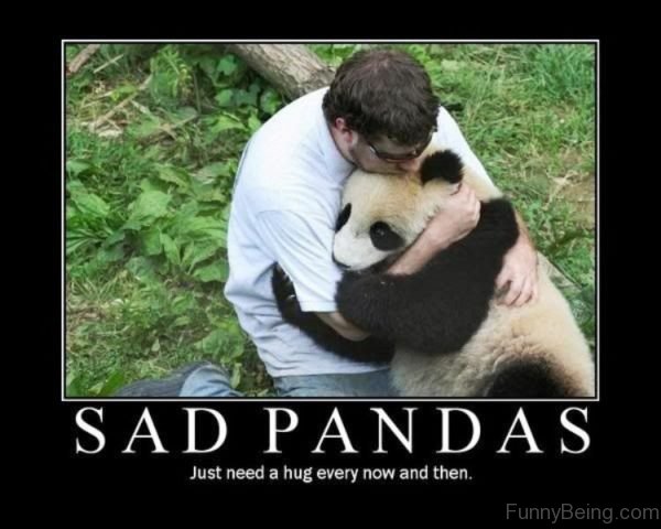 Sad Pandas