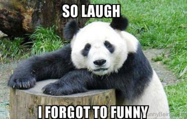 So Laugh I Forgot To Funny