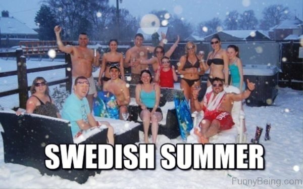 Swedish Summer