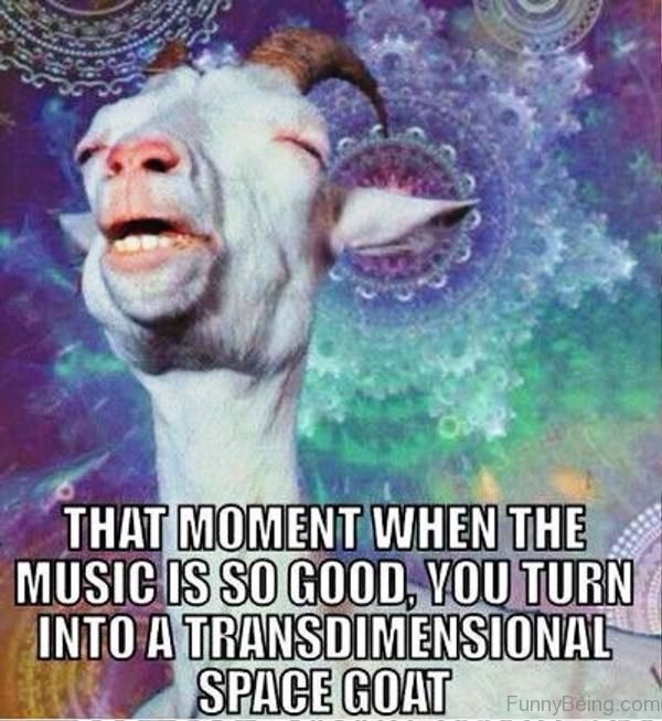 That Moment When The Music Is So Good