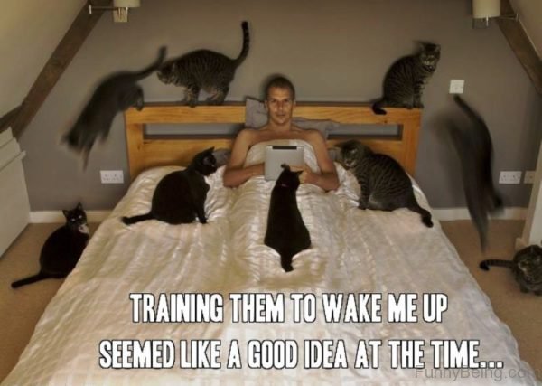 Training Them To Wake Me Up
