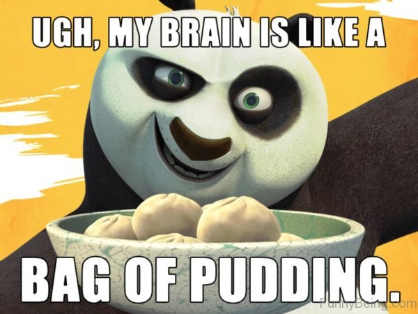 Ugh My Brain Is Like A Bag Of Pudding