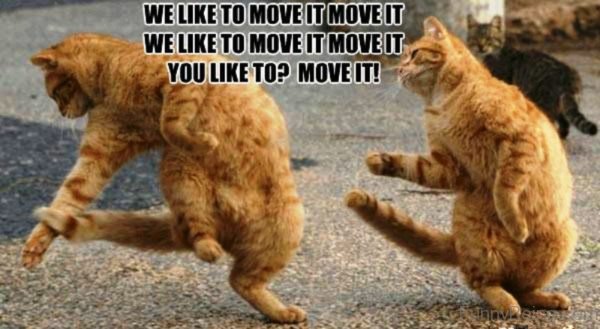 We Like To Move It Move It