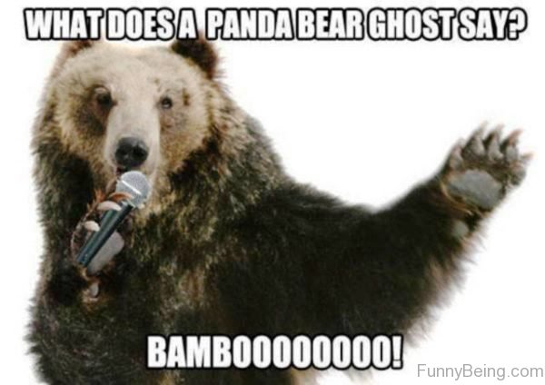 What Does A Panda Bear Ghost Say