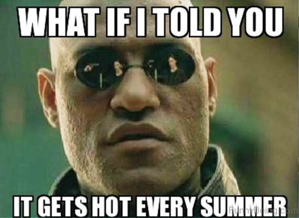 What If I Told You