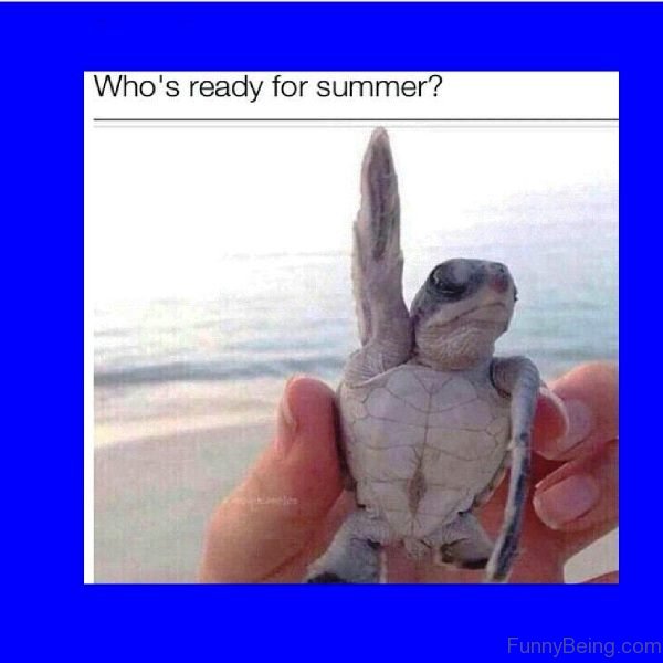 Whos Ready For Summer