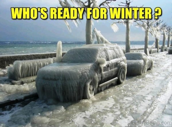 97 Funniest Winter Memes Ever