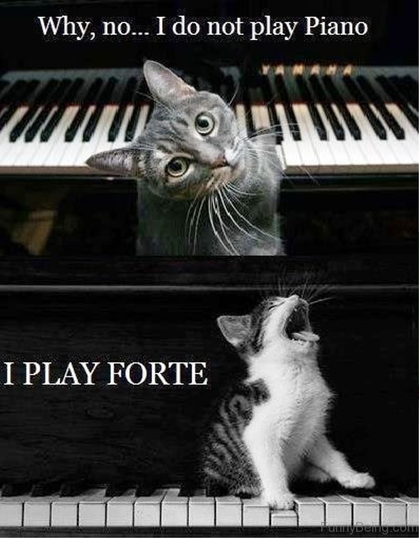 Why No I Do Not Play Piano