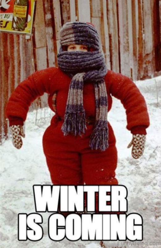 97 Funniest Winter Memes Ever