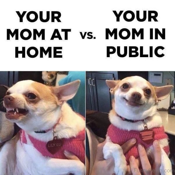 Your Mom At Home Vs In Public