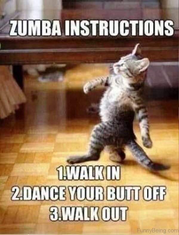 Zumba Instructions