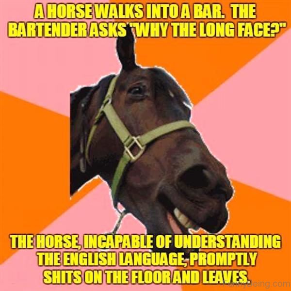 A Horse Walks Into A Bar