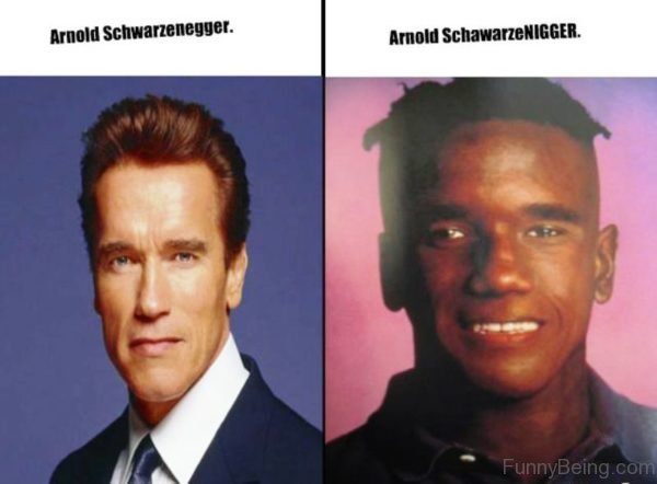 Arnold Schwarzenegger Vs Arnold Schawarzenigger